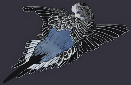 Budgie Death Color Tattoo