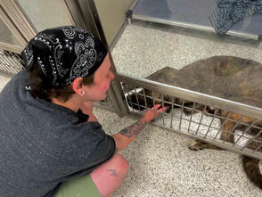 We adopted our big boy Byrne at LifeLine in Fulton County one day before he was scheduled for euthanasia :(