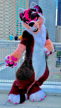 Paprika the Corgi Fullbody Digitigrade Fursuit, Head & Edits by Myself: Body by Oakley's Creations, and Paws by dust.inkz (Instagram)