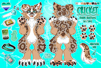 Cricket Aussie Two-Sided Reference Sheet