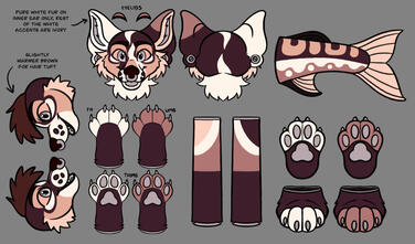 River Corgi Fursuit Reference Sheet